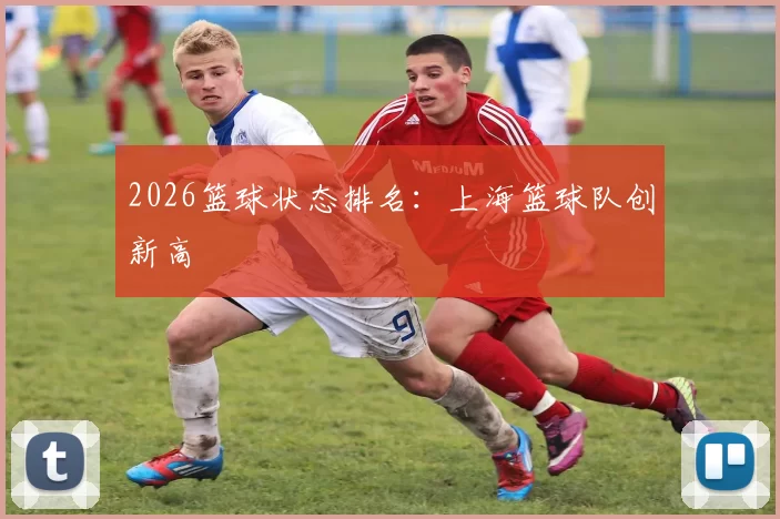 2026篮球状态排名：上海篮球队创新高