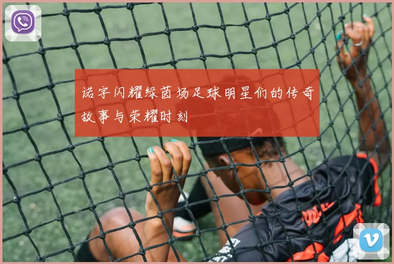 诺字闪耀绿茵场足球明星们的传奇故事与荣耀时刻