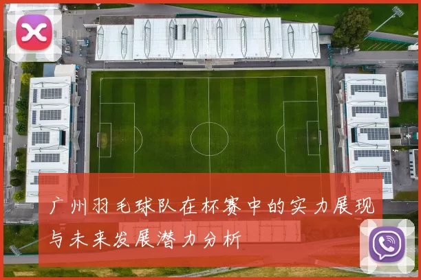 广州羽毛球队在杯赛中的实力展现与未来发展潜力分析