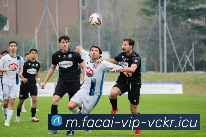 乐鱼体育全站App